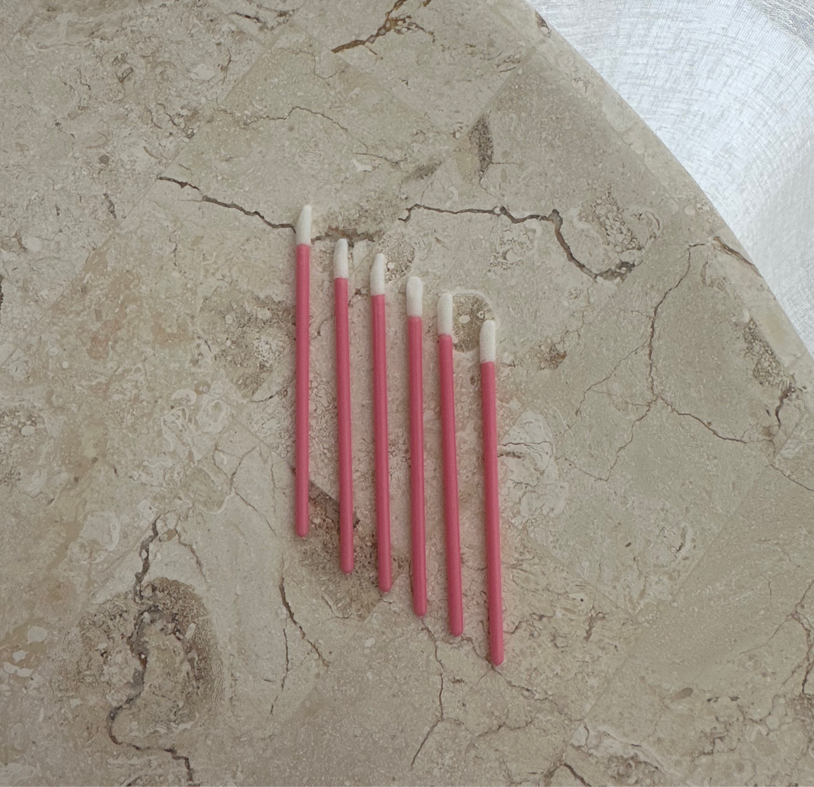 Disposable Lip Brush