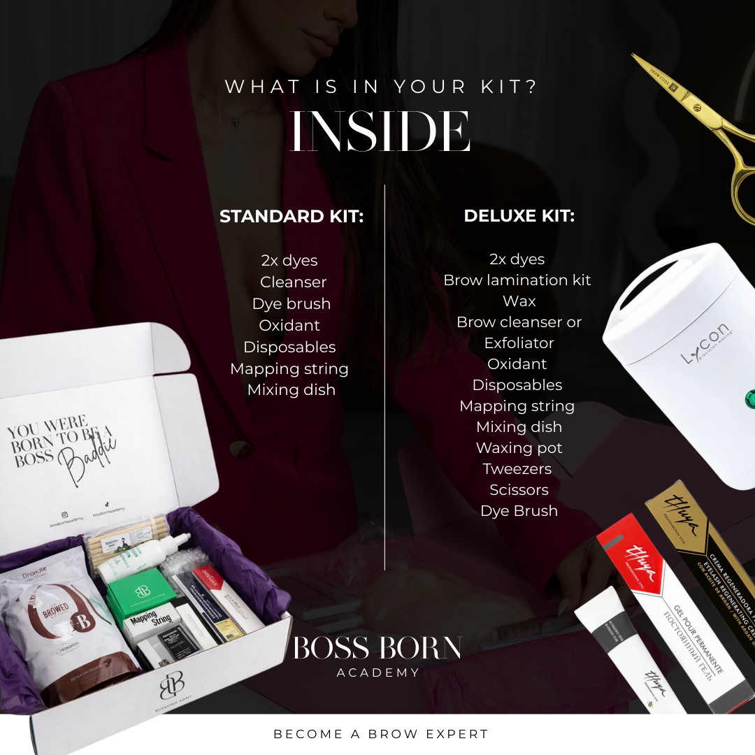 Brow Mastery + Business Course